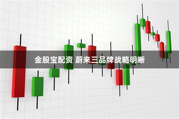 金股宝配资 蔚来三品牌战略明晰